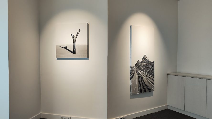 somayehgholami-ex-gallery (1)
