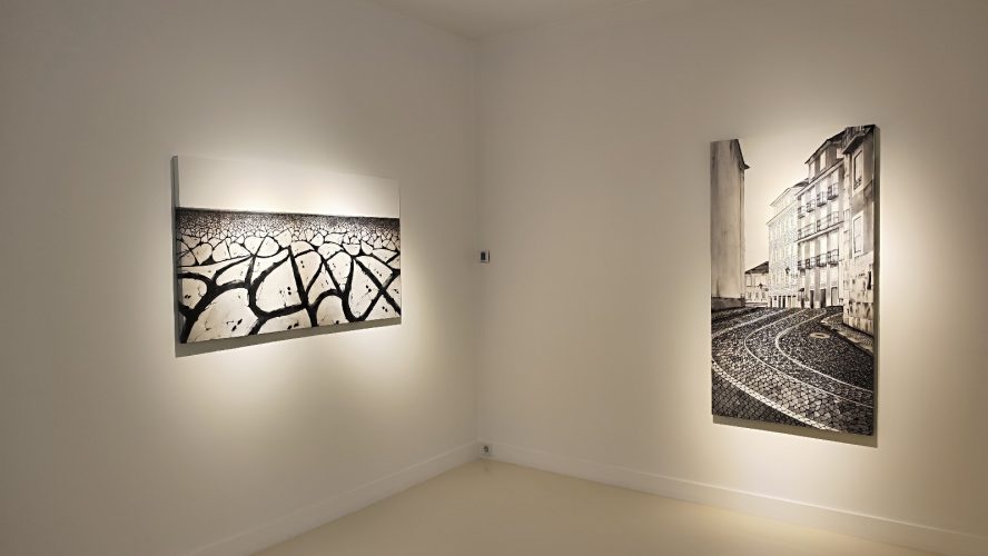 somayehgholami-ex-gallery (7)