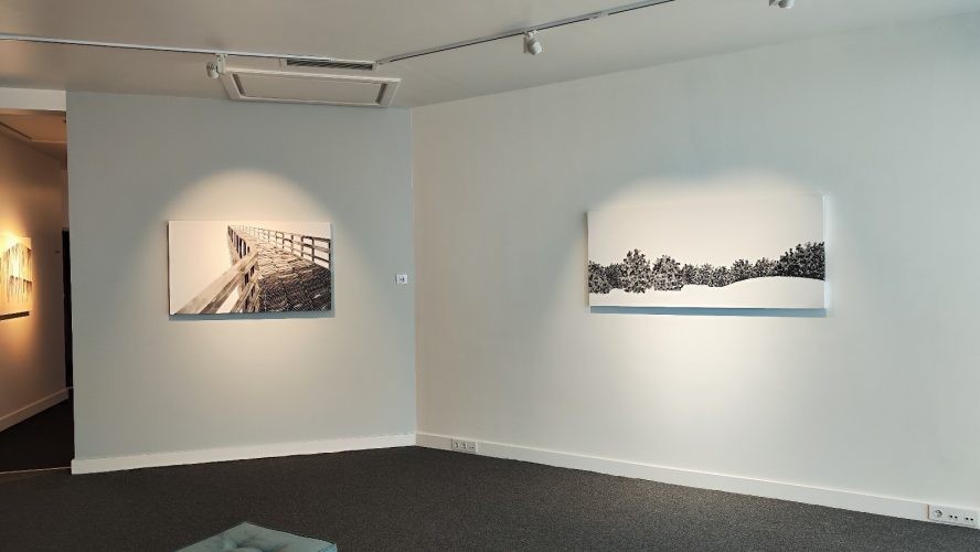 somayehgholami-ex-gallery (8)